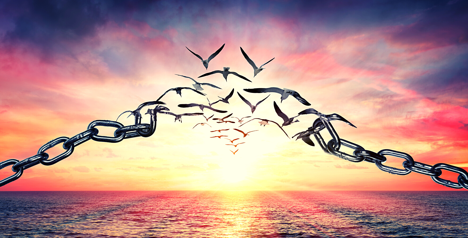 On The Wings Of Freedom - Birds Flying And Broken Chains - Charge Concept